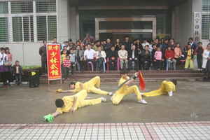 刀术表演